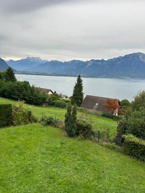 amazing view apartment Montreux